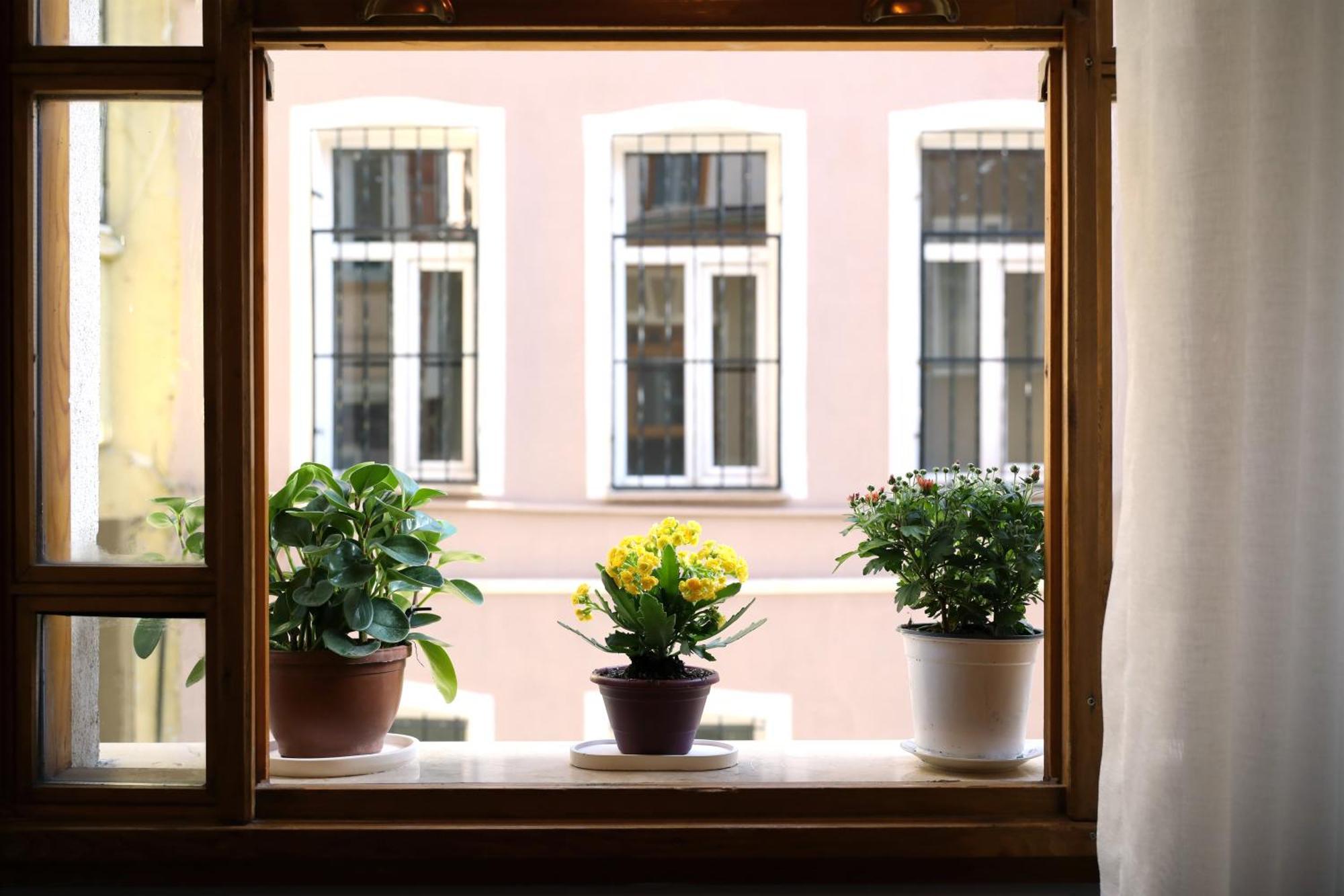 Narpera Taksim Boutique Hotel Istanbul Ngoại thất bức ảnh